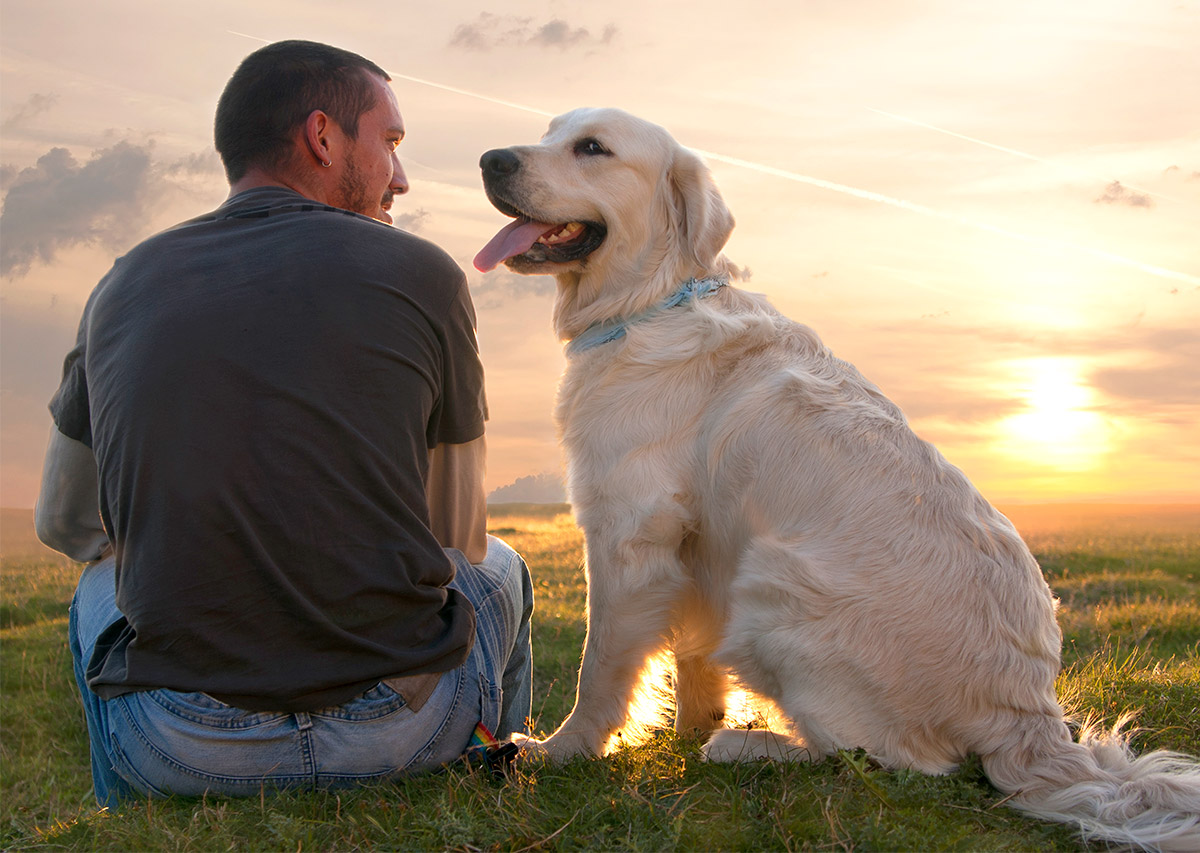 Man with Dog Watching Sunset